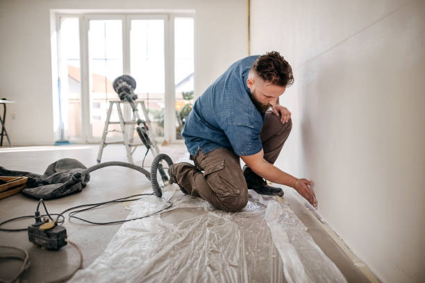 Best Drywall Patching  in Milaca, MN