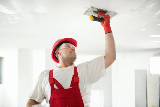 Best Eco-Friendly and Low-VOC Painting  in Milaca, MN